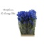 product/img.floraplaza.nl/LDELENEB7-LIVE_fotos-0xF1B4B99838A7FA5E39811900254299E9075136BF.jpg
