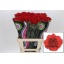 product/img.floraplaza.nl/LDIAARO-LIVE_fotos-0xD9200A33259C62B78F43F050CAF6AB29D25083E8.jpg