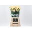 product/img.floraplaza.nl/LDIABEVH-LIVE_fotos-0x269995BF5F64DCB0CDF2DE17C45CBD81849A0DBD.jpg