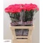 product/img.floraplaza.nl/LDIABIZ-LIVE_fotos-0x0E32CC15A535895CBB3FCD0AAE15566C8E2A963F.jpg