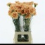 product/img.floraplaza.nl/LDIACARG-LIVE_fotos-0x010CE4DED7418D3F5E81A1D319C771D70461A84A.jpg
