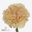 product/img.floraplaza.nl/LDIACRI-ART_Fotos-VBN-vbn121119.jpg