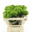 product/img.floraplaza.nl/LDIAGRET5-LIVE_fotos-0x9F94497B080FF7E1DD26F5643F973E73ED88C4FF.jpg