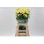 product/img.floraplaza.nl/LDIAILI-LIVE_fotos-0x45803C84751DA7DFB183735B2F7C68C8DE6CCAE5.jpg
