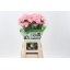 product/img.floraplaza.nl/LDIAJOD-LIVE_fotos-0x7F0429A2AE274F002FA3167EB976021EF19325F9.jpg