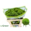 product/img.floraplaza.nl/LDIAKIWM5-LIVE_fotos-0x5B22A5A52F722FA3BCA0FCE8563F629A8586C811.jpg
