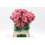 product/img.floraplaza.nl/LDIALEGE-LIVE_fotos-0x779E038DB073C613EC20E62CAD55EC31A5CDDDB2.jpg