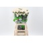 product/img.floraplaza.nl/LDIAMOON-LIVE_fotos-0x5AB84ACFF44AE001CE83BC63139064D4FD3487C6.jpg