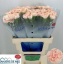 product/img.floraplaza.nl/LDIANOV-LIVE_fotos-0xB2ED8A7C557BE47ABF8BD505ACA303AAFEDCE414.jpg
