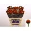 product/img.floraplaza.nl/LECH6-LIVE_fotos-0x734F81B87C920F18A6DD36B32850FBD4BF0F4BF8.jpg