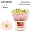 product/img.floraplaza.nl/LEUSALCHA-LIVE_fotos-0xBC06F681F96FD2F5E3E1B7BD8C8073CD2E18C4DF.jpg
