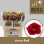 product/img.floraplaza.nl/LEUSAROR-LIVE_fotos-0x01BBAE101D3B73050E116AF0A5FF49F297493A18.jpg