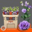 product/img.floraplaza.nl/LEUSCOL-LIVE_fotos-0xFA3189F11FF4E96DB0A53E6A7DDAFD0FF1F29EE1.jpg