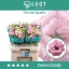 product/img.floraplaza.nl/LEUSCOTC-LIVE_fotos-0xF318AC8D06C4AB4F6495E3F0989DC3DF3C28F256.jpg