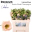 product/img.floraplaza.nl/LEUSROSC-LIVE_fotos-0xCEAA5CEDF88A2E5FC301E38DC122AD0B8CDFA377.jpg