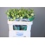 product/img.floraplaza.nl/LEUSROSJAD-LIVE_fotos-0xE09D999EB7F4E712AC0888F5199F9C93054357D2.jpg