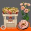 product/img.floraplaza.nl/LEUSSABO-LIVE_fotos-0xE0960061DB7BA52DBD30033B5E38DB6D52BAAB25.jpg