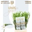 product/img.floraplaza.nl/LFREAVE-LIVE_fotos-0x2C95DB0D9B005BC67A258398009A9A20629CAA0F.jpg