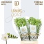product/img.floraplaza.nl/LFREDIAR-LIVE_fotos-0x92A4A7120F8113D5279C778738609CEE4A84E5FC.jpg