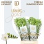 product/img.floraplaza.nl/LFREDIAR-LIVE_fotos-0xDA8F979B43B0E640AA5341E9F4741F36B43B5A44.jpg