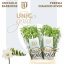 product/img.floraplaza.nl/LFREDIAR-LIVE_fotos-0xDC72DB04728EA131E785DABB61A8A3D5434AF21A.jpg