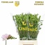 product/img.floraplaza.nl/LFREROS-LIVE_fotos-0xC55BA766D3DD0871E013A0A110A1938CA38EA4D8.jpg