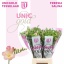 product/img.floraplaza.nl/LFRESAL-LIVE_fotos-0x91980AAC9E3FC22CBDBECA4EEC07D6E19400E723.jpg