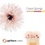 product/img.floraplaza.nl/LGERCRES-LIVE_fotos-0xC6054C5173A70CFEBFBA48C4F488CFB9FBD76787.jpg