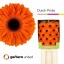 product/img.floraplaza.nl/LGERDUTP-LIVE_fotos-0xED8A57FCDBF542BB171F96608064CAE80DB85AC0.jpg
