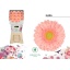 product/img.floraplaza.nl/LGERKIA-LIVE_fotos-0xE9FF200D78C06D5F9FB84FB85EDCEF84986757E5.jpg