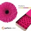 product/img.floraplaza.nl/LGERMAD-LIVE_fotos-0xEF1A116D0A686B5BF07CD5F893C8A23A7578E752.jpg
