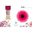 product/img.floraplaza.nl/LGERMARA-LIVE_fotos-0xD070BF20F8FC331D1FCFF110BC4114548A538B33.jpg