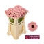 product/img.floraplaza.nl/LGERMDIX-LIVE_fotos-0x6DBC970CEF3782106844D34410B241C8EB68BB98.jpg