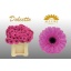 product/img.floraplaza.nl/LGERMDOL-LIVE_fotos-0xC3E0C948B2E57827BFA7C3BC9AEFD4A924D955AA.jpg