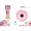product/img.floraplaza.nl/LGERMLOL-LIVE_fotos-0x7DD70FF99EA6827754593ECA4FAEFC2C94F9B835.jpg