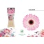 product/img.floraplaza.nl/LGERMLOL-LIVE_fotos-0x7E8D5B283679A28B923D475DCAF9C2FC7DC4C947.jpg