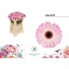 product/img.floraplaza.nl/LGERMLOL-LIVE_fotos-0xEE348554B1E28F4C6CBA72DE0B404620F09DC830.jpg