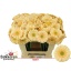 product/img.floraplaza.nl/LGERMMOE-LIVE_fotos-0x415237B3366964AD6F5DBE6BE74BD2842CC65A7B.jpg