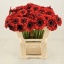 product/img.floraplaza.nl/LGERMNIR-LIVE_fotos-0x8D933DD6116D6A4A77CA142015D073BE2BD3875E.jpg