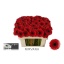 product/img.floraplaza.nl/LGERMNIR-LIVE_fotos-0xDE0B95B8C27CD93BAC5C1211FA41B98EFEBC8267.jpg
