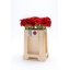 product/img.floraplaza.nl/LGERMNIR-LIVE_fotos-0xE2AD65891A837539922363B10FB18037179FBDFE.jpg