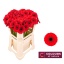 product/img.floraplaza.nl/LGERMNIR-LIVE_fotos-0xF17127068536692769CB53B0FAACDD2FDB11AF01.jpg