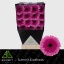 product/img.floraplaza.nl/LGERMOZ-LIVE_fotos-0x193085647F4D4291356B4D3CAA0EA1E4AD9C549D.jpg