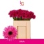 product/img.floraplaza.nl/LGERMPUNIR-LIVE_fotos-0xF4B0F2A4BEF344DED55FD8C7A66A09EEE6F8DCA7.jpg