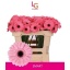 product/img.floraplaza.nl/LGERMSMA-LIVE_fotos-0xBD26C2FC33782C529B419834AF9E354D39BD2AF5.jpg