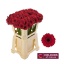 product/img.floraplaza.nl/LGERMSUR-LIVE_fotos-0xAAEAA1005507F5BB1532ED30E6E8EF569F241AED.jpg