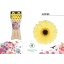 product/img.floraplaza.nl/LGERMSURF-LIVE_fotos-0xAA2792CBB589A75BCC74E1F68E627EA72898C32B.jpg
