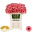 product/img.floraplaza.nl/LGERMVID-LIVE_fotos-0x0D8E0FB020E33C5EFE153BB62D0D44C7C0310257.jpg