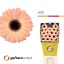 product/img.floraplaza.nl/LGERMWEMB-LIVE_fotos-0x386761CC6BAEE26CE816603450AB7C5B42F6BE16.jpg