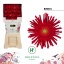 product/img.floraplaza.nl/LGERPB-LIVE_fotos-0x3F5C10C4DA8275C1A01B93E4F9A84E4FD5D4B1D8.jpg
